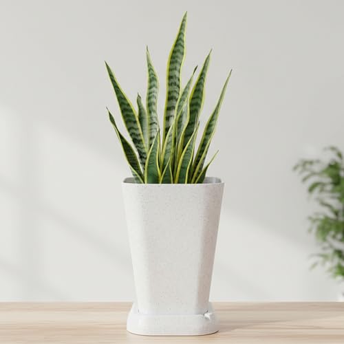 Kraft Seeds 12inch Emerald White Marble Square Flower Pot (Pack o...
