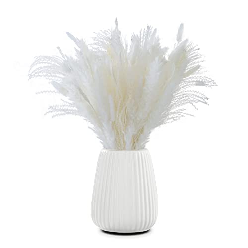 Pampasgras Deko Klein Die 15 besten Produkte im Vergleich kita.de