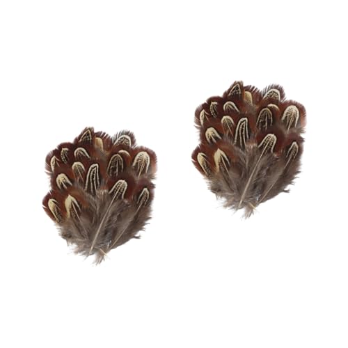 DIYEAH 200 Peças de frango naturais casamento decoração wedding decoração para disfarçar trabalhos manuais com para decorar festas penas de faisão