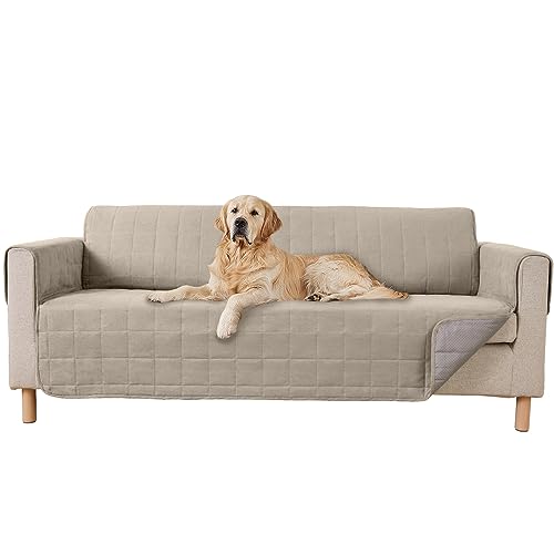 Top 10 Best Leather Couch For Dogs Reviews & Buying Guide Katynel