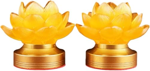 Bianstar@ؓ @̉ԃt[Cg 2ZbgzLEDƖbdE_Optb~E@E@vEފ݁EɍœKbCeAƖƂĂ[^XfUC (3.5C`̊JԃfUC,3F̃Cg)