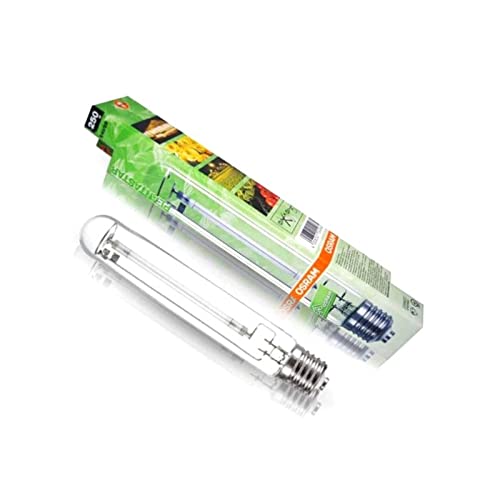 Ampoule Plantastar 250W - Osram