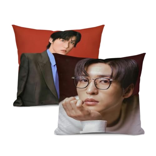 �N�b�V�����J�o�[ �ڍ�-�@ �߂���-��� 2���Z�b�g �\�t�@�[�p �������J�o�[ ������ �w���� ������� ���z�c�J�o�[ �߂� �A�C�h�� �̎� �o�D �i50x50cm�j