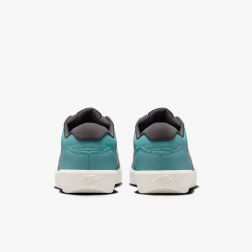 Image of Nike SB Force 58 Premium Skate Shoes (DV5476-400, Denim Turquoise /Dark Smoke Grey) Size 11.5
