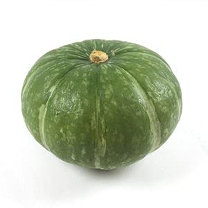 【朝市場の新鮮野菜】鈴南瓜　1個 （約350g)【冷蔵】