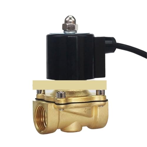 Électrovanne en laiton 3/4 pouce AC220V avec conception normalement fermée à 2 voies