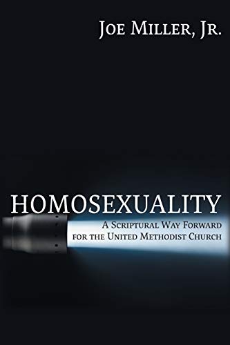 Homosexuality: A Scriptural Way Forward for the... 163199221X Book Cover