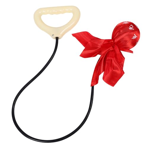 NAMOARLY Pelota De Gimnasia Pelota De Yoga Pelota De Masaje Pelota De Pilates Pelota Que Rebota Pelota De Reacción Resistente para Personas Mayores Pelota De Ejercicio Resistente