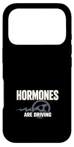 �o���ӊ� ���[���A �o���ӊ� �C���ϓ� �o���� �X�}�z�P�[�X iPhone 17 Pro �p