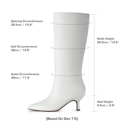 DREAM PAIRS DREAM PAIRS Women's Knee High Kitten Heel Boots Sexy Pointed Toe Fashion Long Tall Boots,Size 8,White,DWUMKB2507