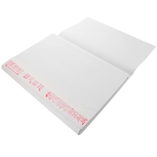 Papier Xuan blanc pour peinture chinoise et ateliers d'écriture à la maison