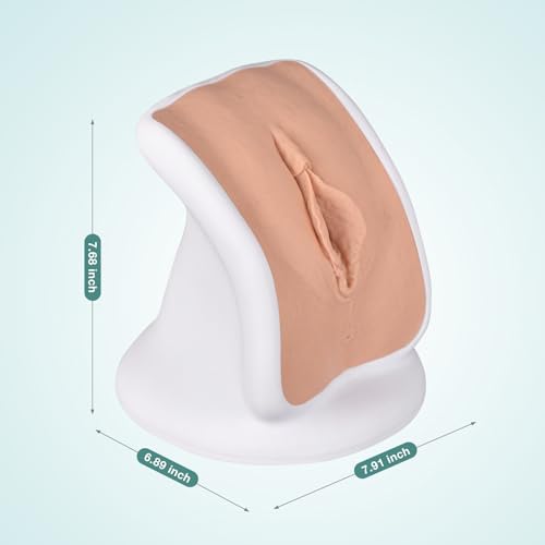 Image of Pelvic Health Model, Gynecological Examination Vulva Anatomical Model for Demonstration, Vaginal Training Model for Science Education