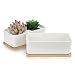 Succulent Pots,OAMCEG 6.5 Inch Rectangular Ceramic Planters,Set of 2 White Cactus Container, Bonsai Pots, Flower Pots with Drainage Hole/Bamboo Tray(Plants NOT Included)