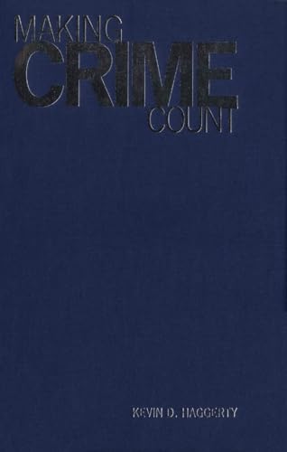Making Crime Count view 2