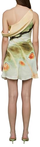 AMUR Women's Elowen Mini Dress3