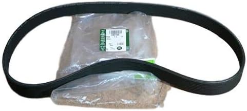 Correa secundaria LAND ROVER 3.0L SC V6 LAND ROVER SECUNDARIA 3.0L SC V6 LR4 RANGE ROVER SPORT 14-22 RANGE ROVER 13-21 DISCOVERY 5 LR184650