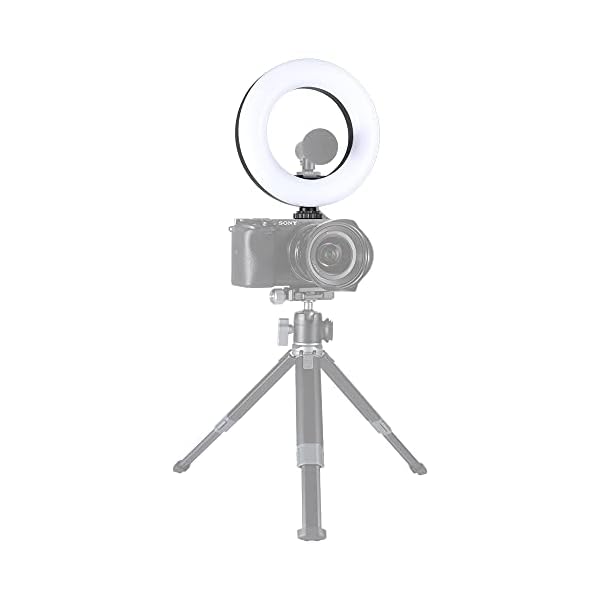 Rollei 28559 Mini-Ringlicht BI-Color, kleine Ring-Leuchte zum anbringen auf der DSLM oder DSLR Kamera oder zur… – Bild 3