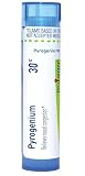 Boiron Pyrogenium 30C Homeopathic Medicine for Nasal Congestion - 80 Pellets