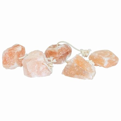vidaXL Piedras de Sal 50 Pcs con Cuerdas para Ganado 625kg Rosa Himalaya Natural, Saludable para Caballos, Duradero y Resistente a la Masticación, Uso Interior/Exterior, Tamaños Variados, Soporte de