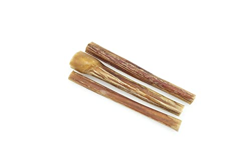Friandises pour Chien - Nerf de Bœuf pour Chien