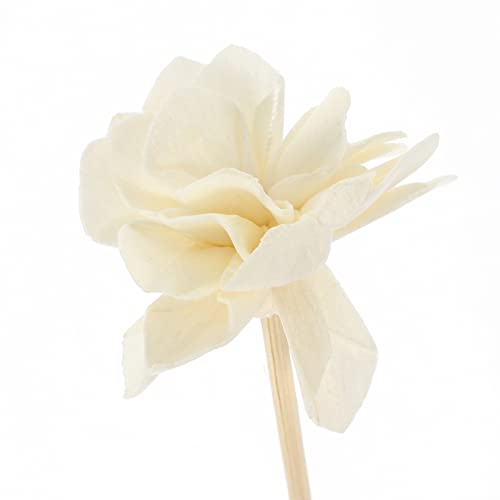 Palitos Difusores Florales Aromaterapia 5 Piezas miniatura 6