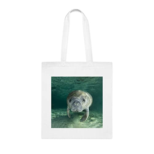 Sacola Retrato de Peixe-Boi, Presente Engraçado, Bolsa de Ombro, Sacolas Reutilizáveis, Cesta de Ani