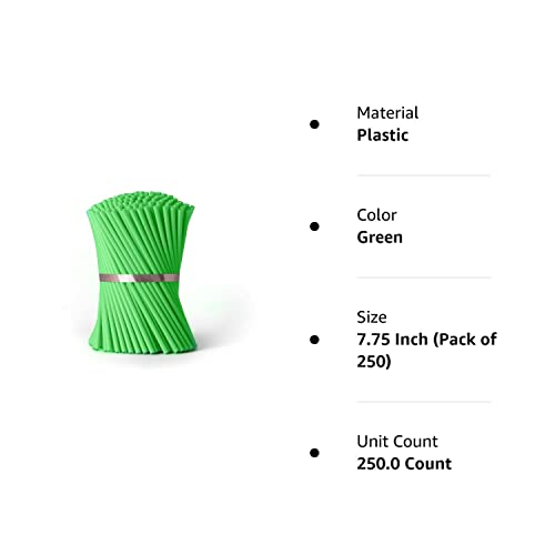 Disposable Drinking Straws - 7 3/4 Inches Long - Standard Size (Green, 250)