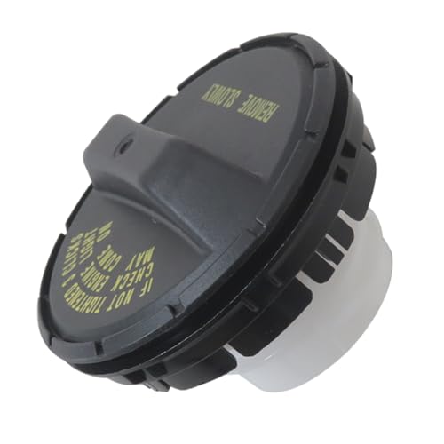 Fix Check Engine Light (CEL) & Gasoline Smells: Replacement Gas