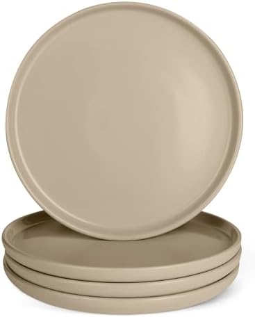 Amazon Basics Glazed Stoneware Dinner Plates, 4-Piece Set, Microw...