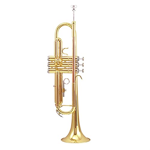 トランペット トランペット 銀」の人気商品一覧 | 安い商品を通販