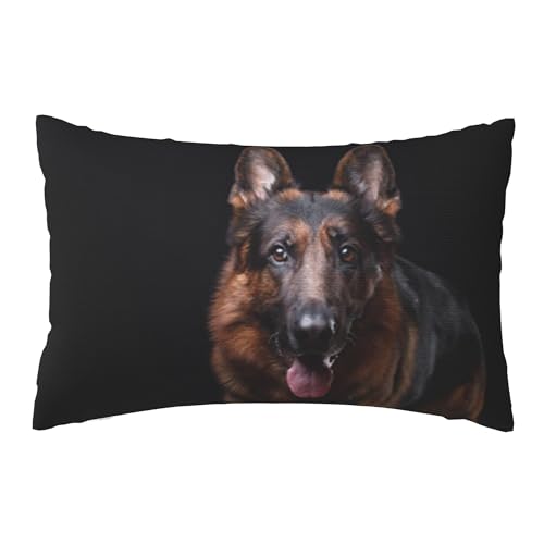 ʃvbVJo[A_炩ȁA20x30C`Axbh\t@ɍœKiwiɏ]ȌW[}VFp[h̓j