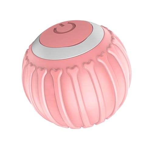 �A�N�e�B�u���[�����O�{�[�� - ���c�� |�C���^���N�e�B�u�ȔL�̂������� |���[�r���O�{�[�����p�������� | 2 �̉H�̔����������I�Ɉړ����钹�̃{�[�� |�^�b�`�A�N�e�B�x�[�V���� |��������