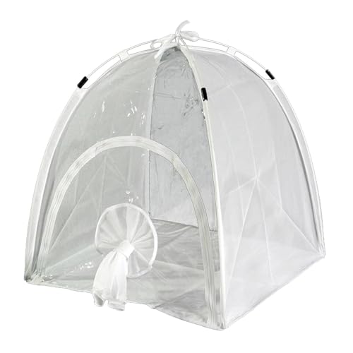 Recinto de PVC transparente para hábitat de orugas y kit de observación escolar 2