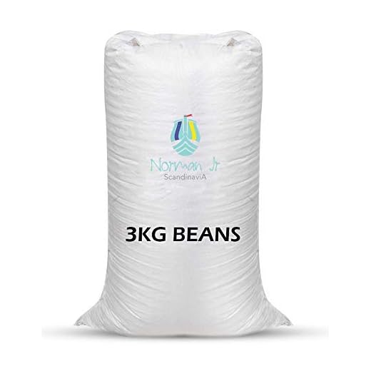 NORMAN JR, 3 Kg Bean Bag Refill/Filler - Gem