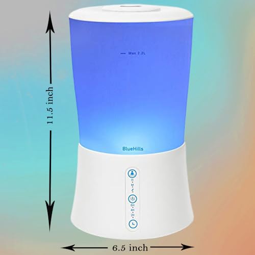 2000 ML Blue