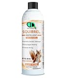 DD Teck 100% Natural Squirrel Repellent - Prevents Garden Damage, Discourage Nesting, Protect Wiring, Prevents Chewing on Outdoor Furniture (250ml)