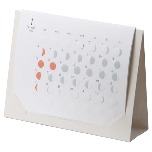 vO 2025N J_[  ̖J_[ ~` mini A25-450