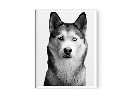 Amazon Com Black And White Husky Dog Print Cute Puppy Photo For Children S Bedroom Animal Portrait Artwork Nursery Decor Perfect For Dog Lovers 11x14 Wall Art Ready To Frame Handmade Products Amazon Com Black And White Husky Dog Print Cute Puppy Photo For Children S Bedroom Animal Portrait Artwork Nursery Decor Perfect For Dog Lovers 11x14 Wall Art Ready To Frame Handmade Products