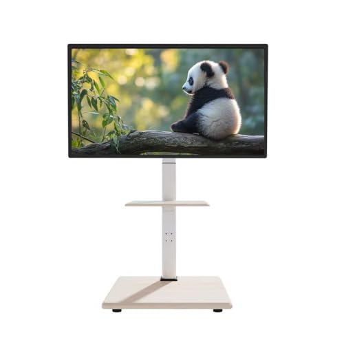 Major in life erX^h Ǌ nC^Cv er tvX^h LX^[t erpX^hǊ| 32~75C`Ή ω׏d40KG \ E]30° [Itؐ ړ  ȃXy[X Зp Ɨp