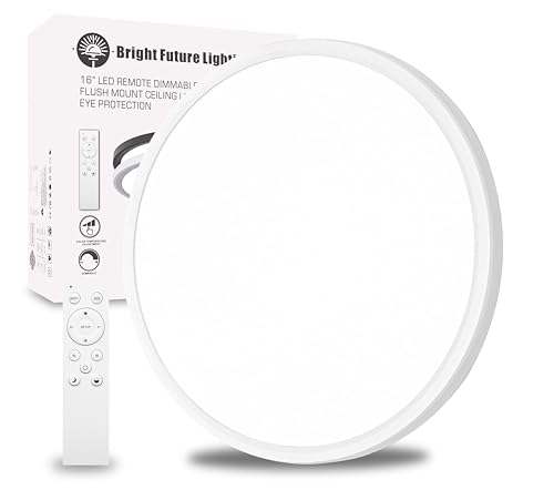 2Pack 16 Inch Remote Control Dimmable LED Flush Mount Ceiling Light Panel,32W 3840LM,2700K-6000K Adjustable Color,Ultra Thin Round Ceiling Light Fixture for Hallway Kitchen Bedroom Home Office (White)
