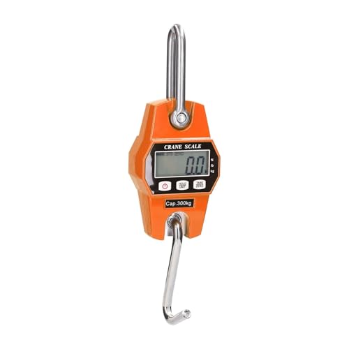 Balance de grue portable numerique 300 kg pour eviter les surcharges et peser facilement