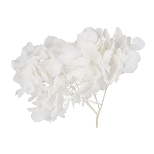 Alipis 1pack pétalos secos de hortensia blanca para manualidades miniatura 1
