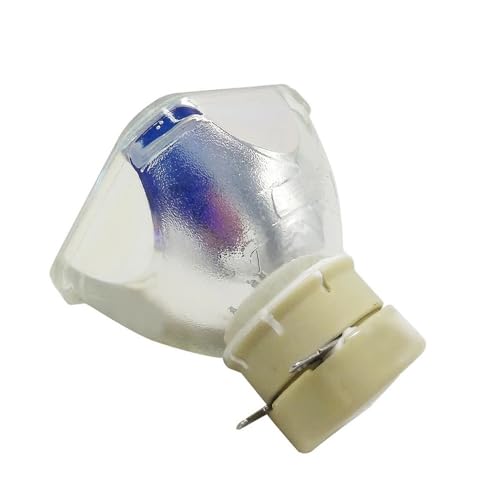 Ampoule de projecteur VPL DX240 pour vos cours et réunions