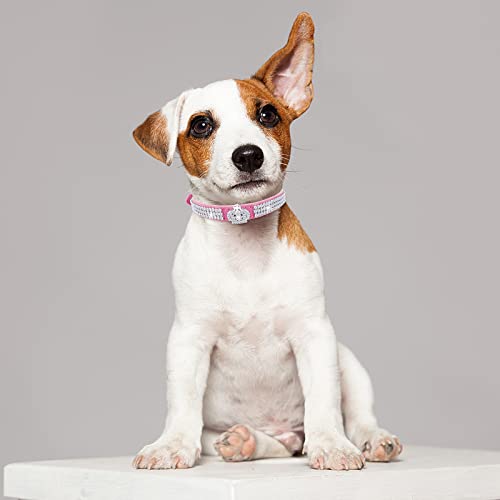 cobee Hundehalsband mit Strass, verstellbares Katzenhalsband Bling Pu Leder Welpenhalsband Kristall Haustierhalsbänder für kleine Hunde Katzen Halsbandzubehör(Rosenrot)