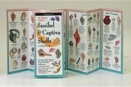 Sanibel & Captiva Shells and Beach Life (Foldingguides) by Douglass, Jackie (1995) Pamphlet