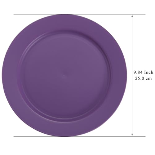 Berglander Kunststoff teller-Set mit 8 Stück 25cm, lila Mehrwegige flache Speiseteller, Salatteller, Nudelschalen, Geschirrset leicht zu tragen für Zuhause, Garten, Picknick, Camping, im Freien