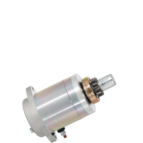 �d���X�^�[�^�[���[�^�[ V100179116 PK 50 80 PK100 S Elestart Lusso Automatica Elestart FL V100179116 �Ή�