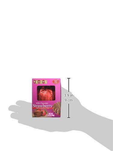 Brach's Strawberry Milk Chocolate Balls, 5.5 Ounce Box, Pack of 6