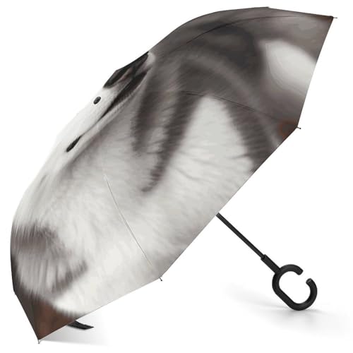Parapluie inversé chien Husky compact motif mignon contre la pluie