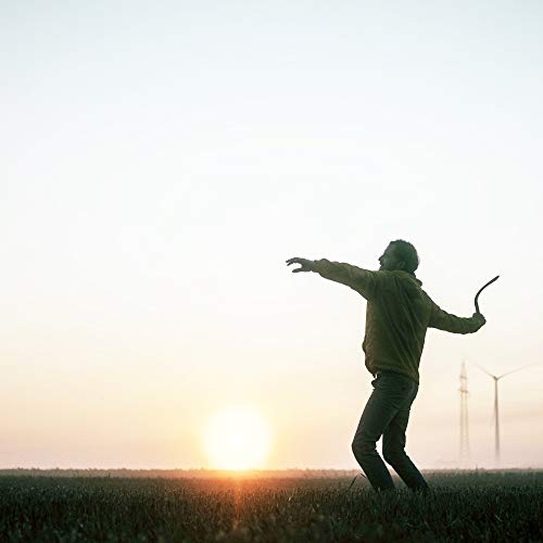 LAMEY bumerang Manufaktur - Profi Boomerang für Fortgeschrittene - handgefertigt aus Holz - Image 8